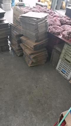 新鮮去皮濕核桃與商品房代購(gòu)代銷 一站式批發(fā)與服務(wù)解決方案